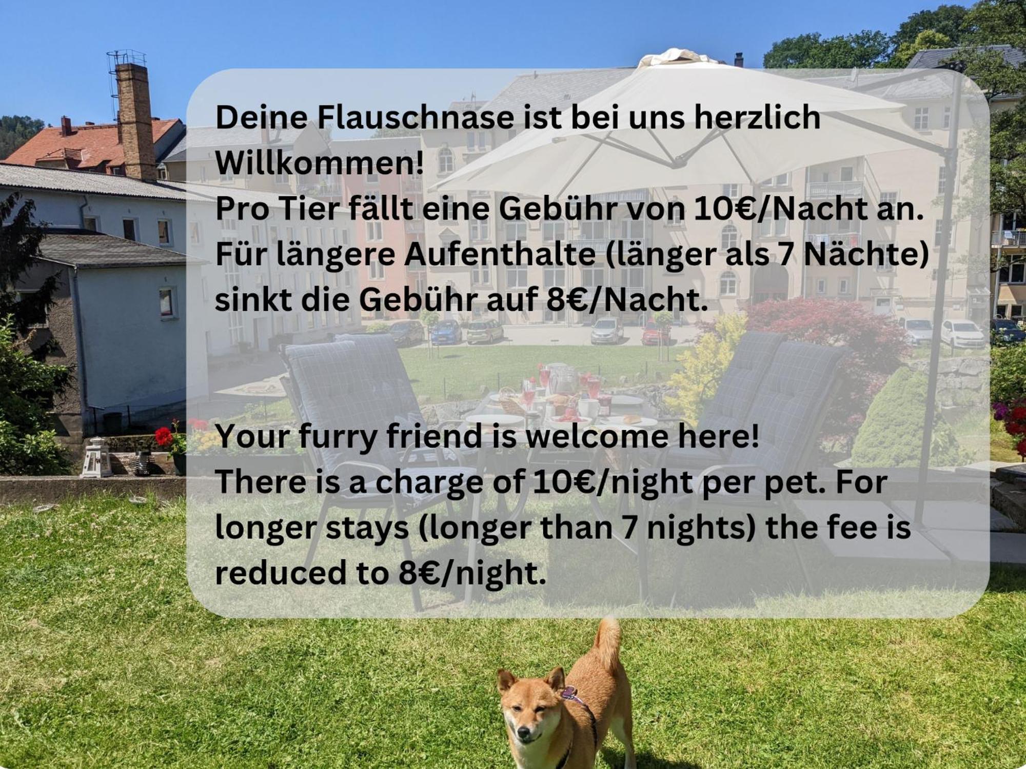 Hw4B - Urlaubsmagie - Zentral Mit Gemeinschaftsgarten, -Pool, -Sauna & Whirlpool Зебниц Екстериор снимка